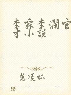 李霖李澜官场奇才小说