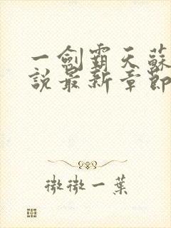 一剑霸天苏信小说最新章节