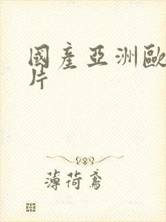 国产亚洲欧美黄片