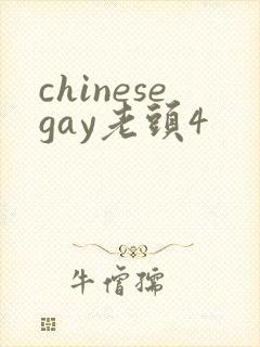 chinesegay老头4
