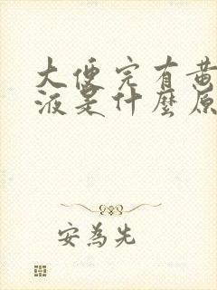 大便完有黄色粘液是什么原因