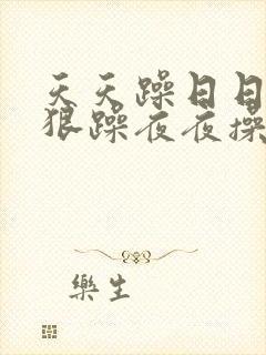 天天躁日日躁狠狠躁夜夜操封面