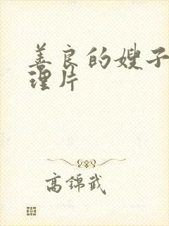 善良的嫂子2伦理片封面