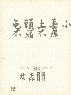 龟头上长小肉粒不痛不痒