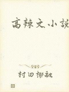 高辣文小说