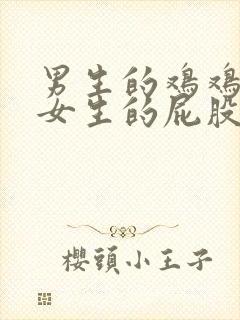 男生的鸡鸡放进女生的屁股