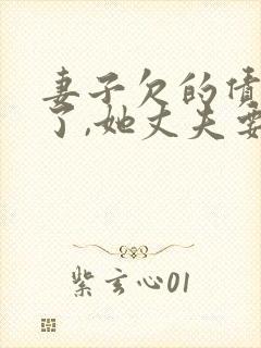 妻子欠的债务死了,她丈夫要还吗?封面