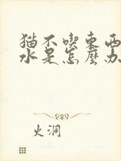 猫不吃东西吐黄水是怎么办