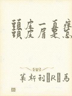 头皮一直痒还有头皮屑是怎么回事