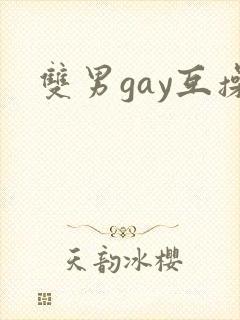 双男gay互操