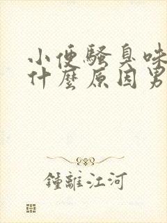 小便骚臭味重是什么原因男