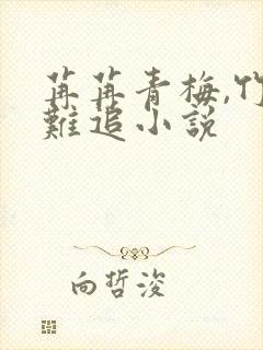 苒苒青梅,竹马难追小说