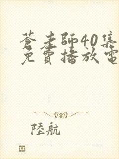 苍老师40集全免费播放电视剧国语在线