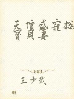 天价盛宠总裁的宝贝妻封面