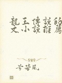 龙王传说的同人文小说推荐封面