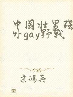 中国壮男强迫野外gay野战