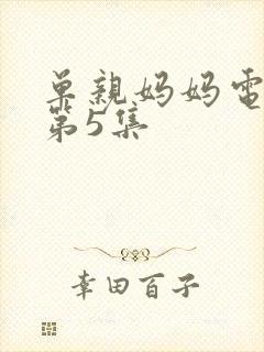 单亲妈妈电视剧第5集