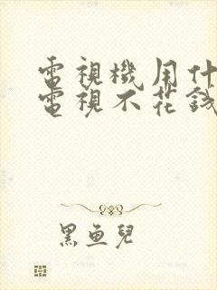 电视机用什么看电视不花钱