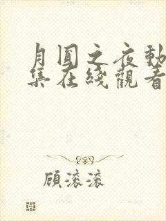 月圆之夜动漫全集在线观看