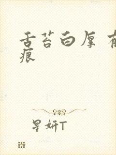 舌苔白厚 有齿痕