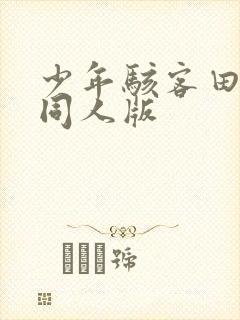 少年骇客田小玟同人版