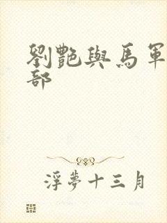 刘艳与马军第九部