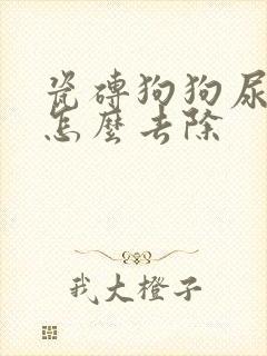 瓷砖狗狗尿骚味怎么去除