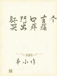 肛门口有个肉球突出疼痛封面