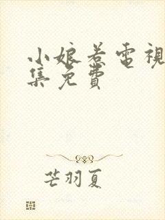 小娘惹电视剧全集免费