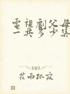 电视剧父母爱情一共多少集