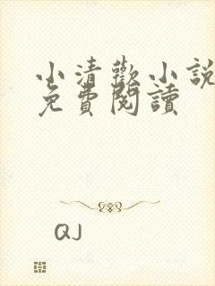 小清欢小说全文免费阅读封面