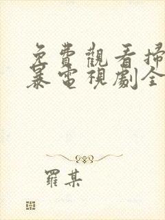 免费观看扫黑风暴电视剧全集封面