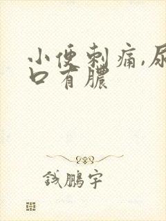 小便刺痛,尿道口有脓封面