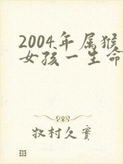 2004年属猴女孩一生命运怎样封面