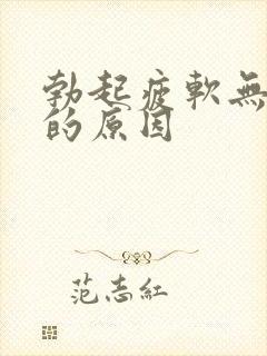 勃起疲软无力快的原因