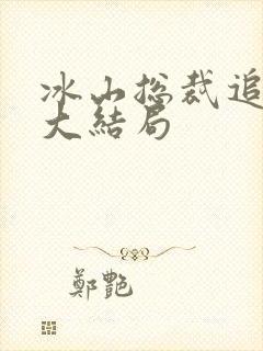 冰山总裁追妻路大结局