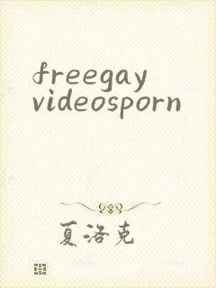 freegayvideosporn封面