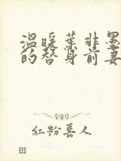 温暖叶非墨总裁的替身前妻