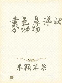 黄色鼻涕状阴道分泌物