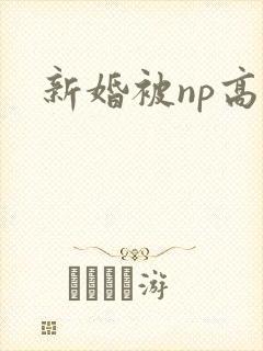 新婚被np高h
