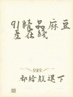 91精品麻豆国产在线