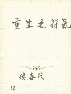 重生之符气冲天封面