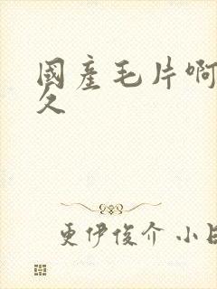 国产毛片啊久久久