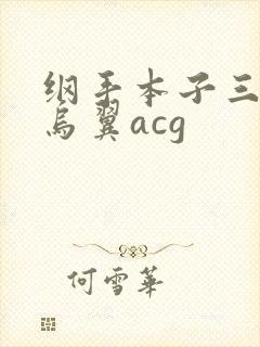 纲手本子三*无乌翼acg