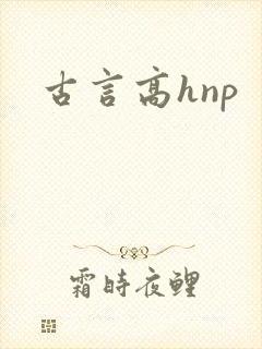 古言高hnp