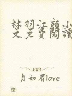 林羽江颜小说全文免费阅读最新章节封面