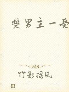 双男主一受多攻封面