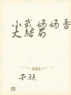 小武妈妈番外篇大结局封面