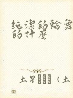 纯洁的轮舞曲讲的什么