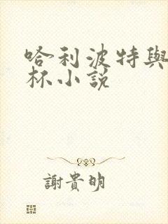 哈利波特与火焰杯小说